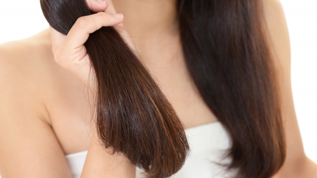 めるる愛用のヘアオイルとドライヤー 今夜くらべてみました